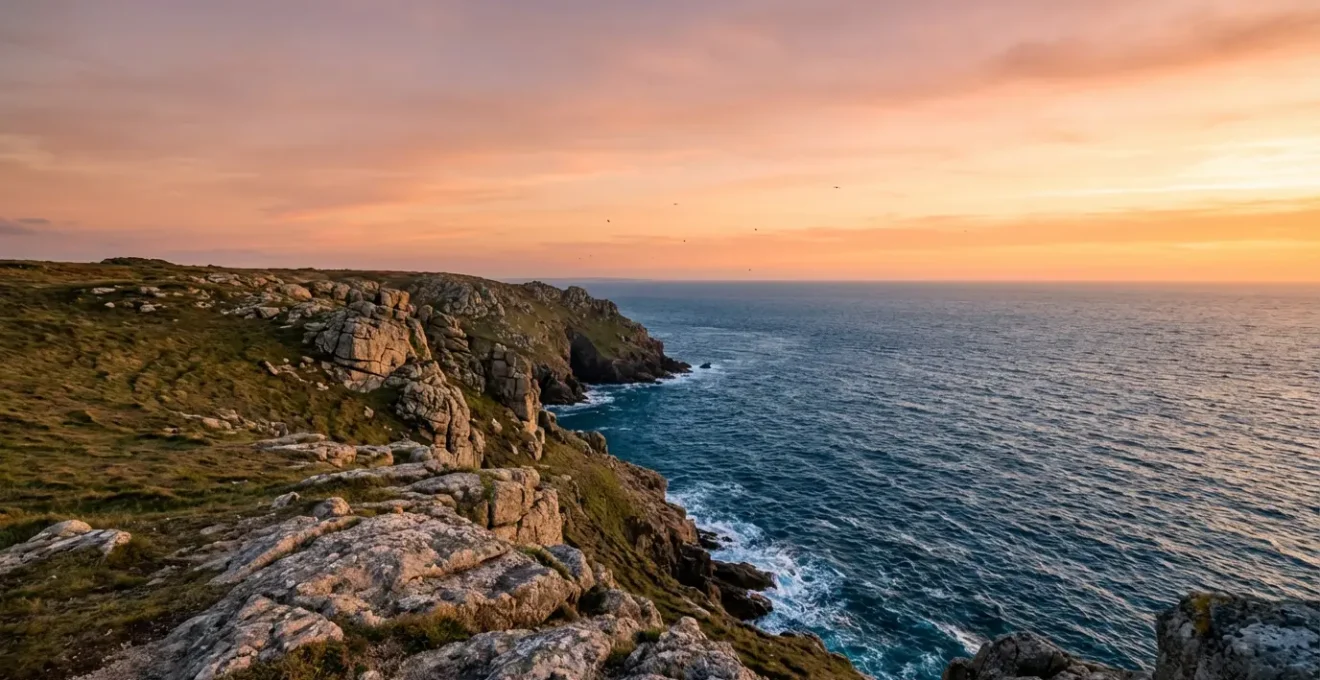 Vue large d'une falaise côtière bretonne typique habitat du crave à bec rouge